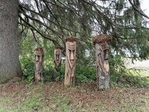 Möhkö, puiden alla varjossa...